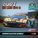 Audi R8 LMS GT3 Evo 2 Setup Packs ACC V 1.10